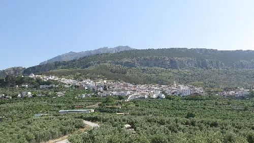 Panoramablick auf Jimena mit Oliven- und Feigenhainen und Bergen