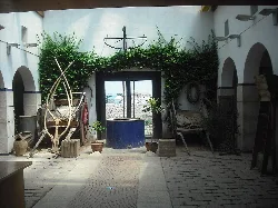 Museum interior with old objects and plants on the walls.