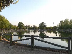 Estanque en el parque con árboles y barandillas de madera en Don Benito.