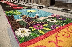 Flower carpet with religious figures and colorful designs in San Vicente de Alcántara.
