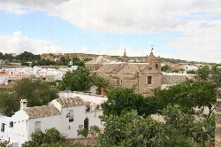 View of Osuna Collegiate Church with trees and white houses.