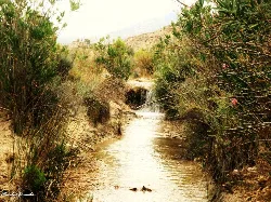 A dry river with vegetation on its sides in Abanilla, Murcia.