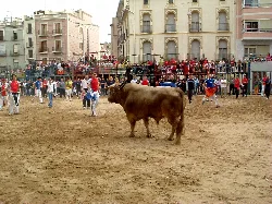 fira de onda