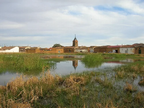 El Burgo Ranero - En los alrededores del pueblo encontramos numerosas charcas repletas de ranas.
La que vemos en la foto es una de las más grandes.

Se dice que de ahí deriva el apellido de la población.
