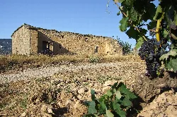 Antigua ermita de San Roque con paredes de piedra y entorno rural.
