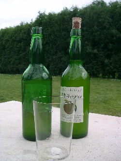 Bottles of natural cider and a glass in a countryside setting with trees.