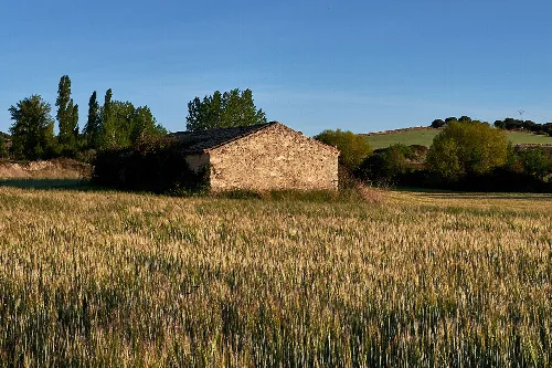 Steinhaus in einem Weizenfeld mit Bäumen und Hügeln im Hintergrund.