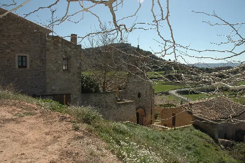 Senan, Conca de Barberà, 2008