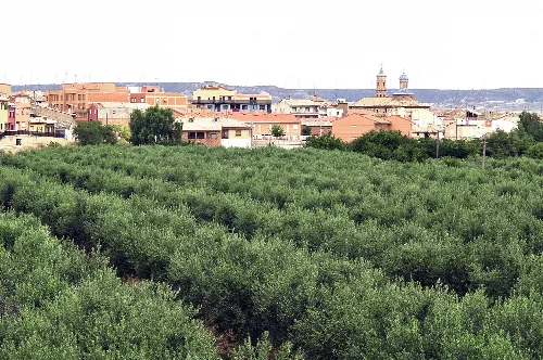 Panoramic view of Muel with houses and greenery.