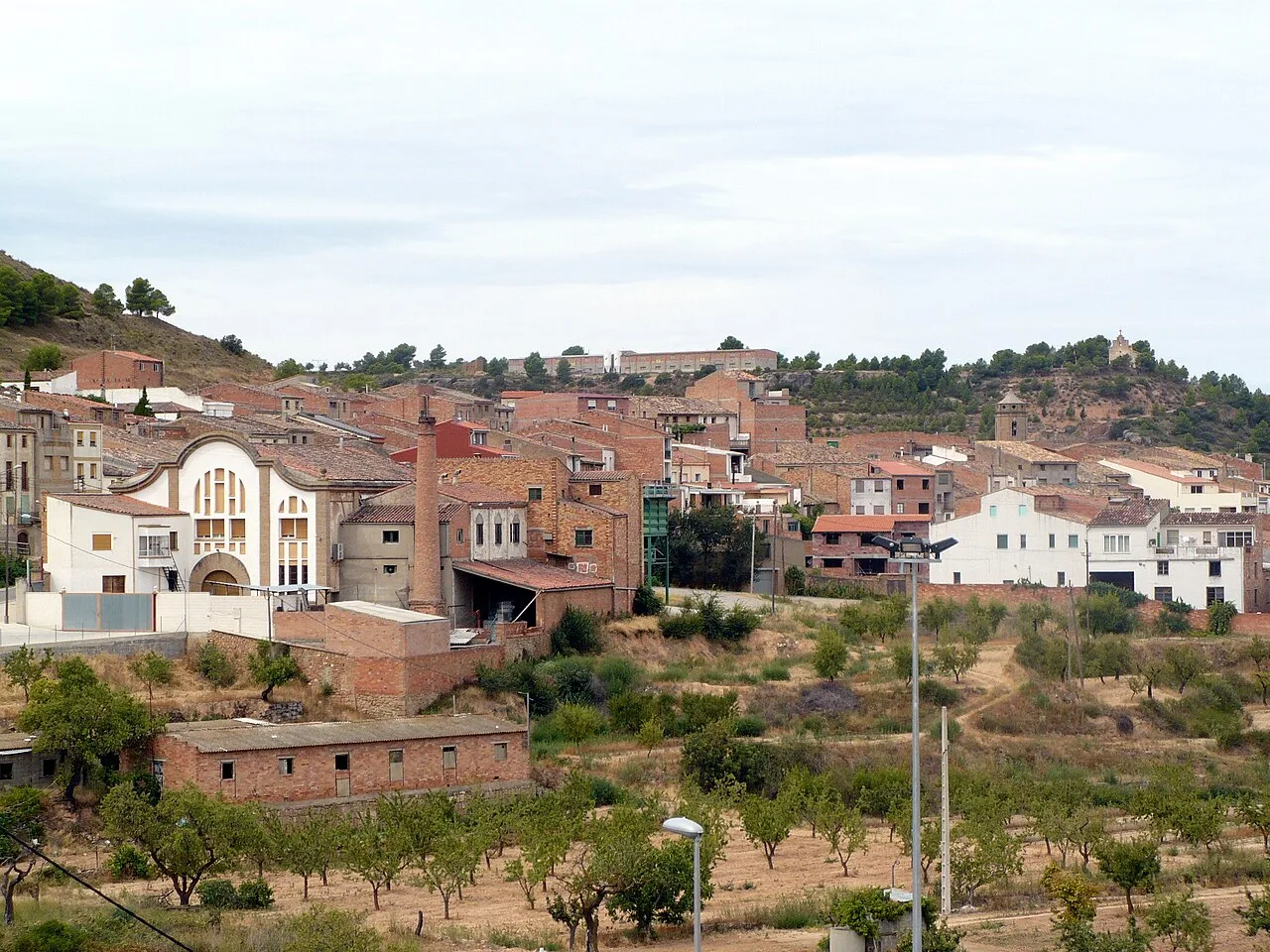 Paisaje con casas y viñedos en El Soleràs, Lérida.