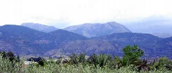 Landschaft mit Bergen und Vegetation im Vordergrund.