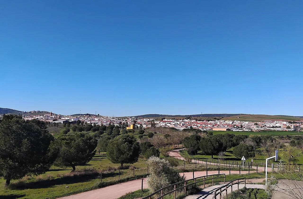 Urban landscape with trees and paths, city view in the background under a blue sky.