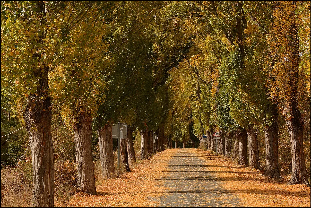 Carretera SO-660, Camporredondo, Soria.