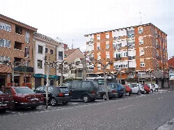 Apartment building and pruned trees in Tudela de Duero