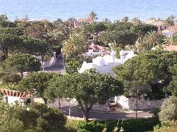 Casas blancas y palmeras en Urbanización Marbesa, Marbella