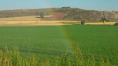 Paisaje Valle las Navas