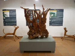 Wooden sculpture in a museum with informational panels on the wall.