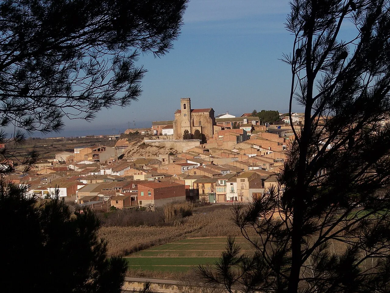 Preixana vist des de l'ermita de Montalbà