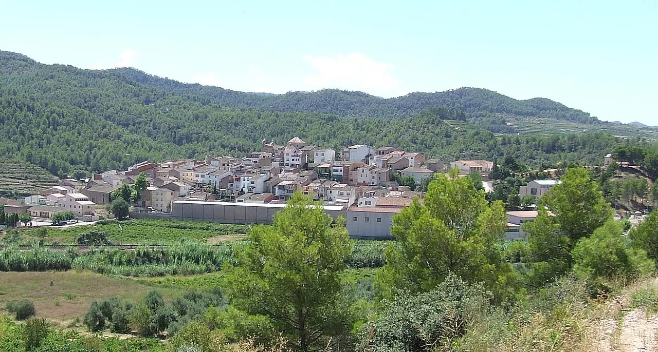 Vista general de la població de Capçanes des de llevant