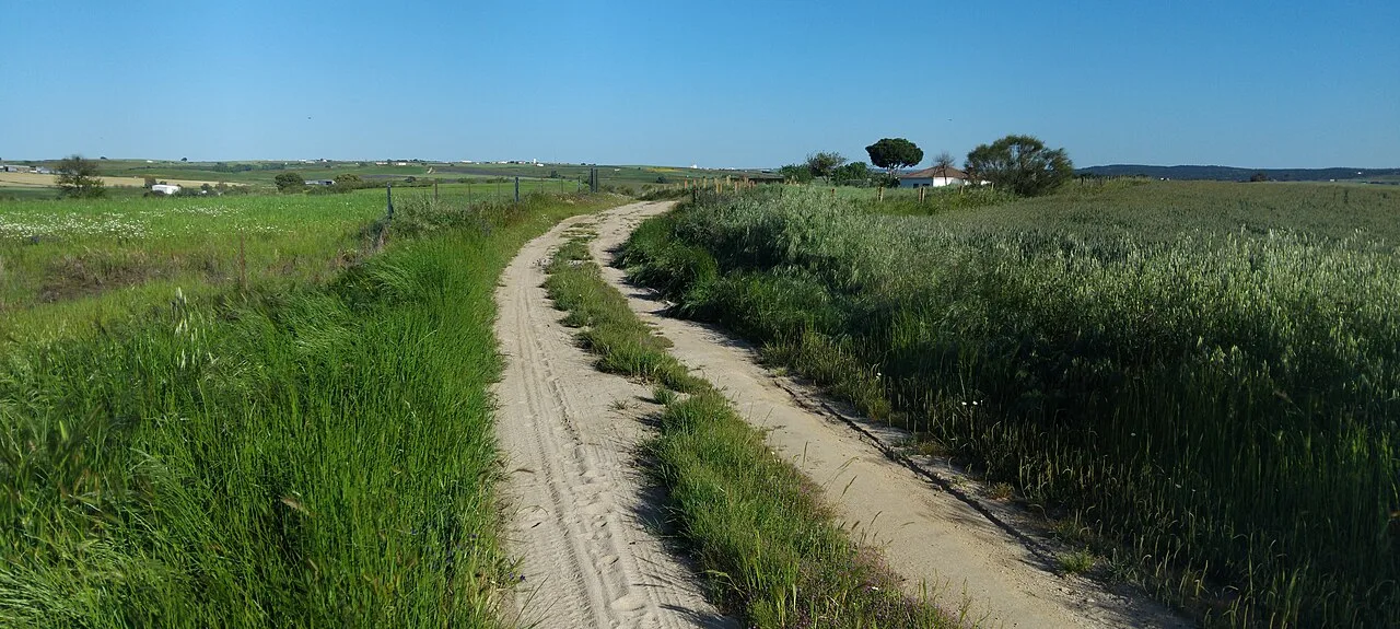 Schmaler Weg zwischen grünen Feldern in Villaralto, Córdoba.