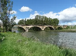 Stone bridge with multiple arches over a river, surrounded by trees and grass.