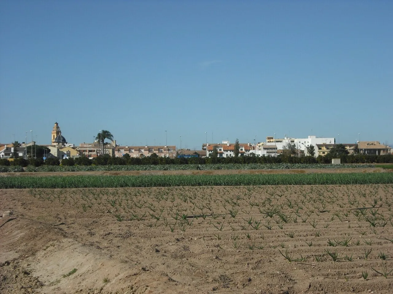 Agricultural landscape with town and blue sky.