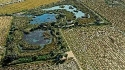 Aerial view of lagoons and fields in Sueca, Valencia.