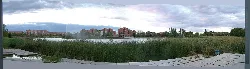 Panoramic view of the lake with buildings and vegetation.