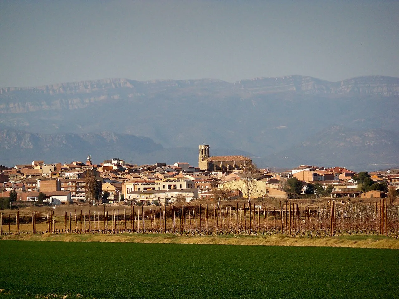 Església parroquial de Santa Maria (Linyola)