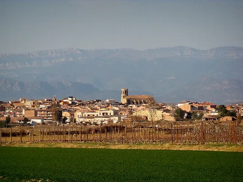 Església parroquial de Santa Maria (Linyola)