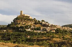 Castle on a hilltop with houses and greenery in the foreground.