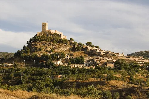 Burg auf einem Hügel mit Häusern und Vegetation im Vordergrund.