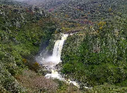 Waterfall in a canyon with vegetation and rocks.