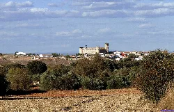 Vista del castillo en un paisaje rural con árboles y campo abierto.