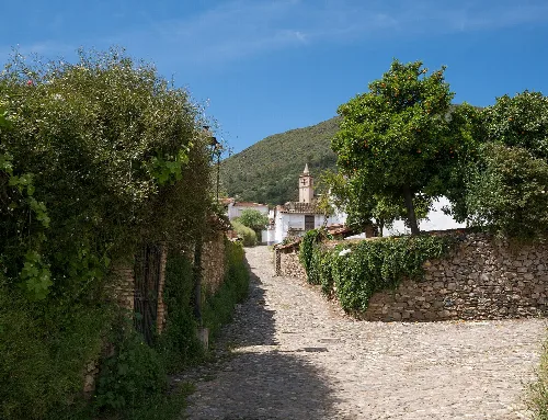 Cobblestone alley with trees and houses in Linares de la Sierra.