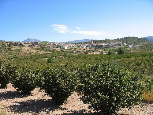 Landscape with orchards and view of Zucaina in the distance.