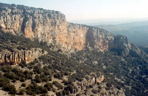 Felsen mit Vegetation in Portell de Morella.