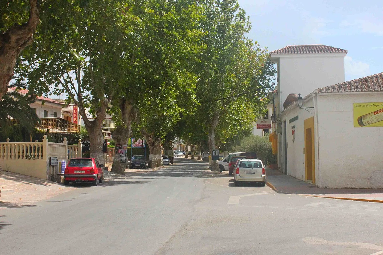 Vista de la calle principal de Ugíjar con árboles y coches estacionados.
