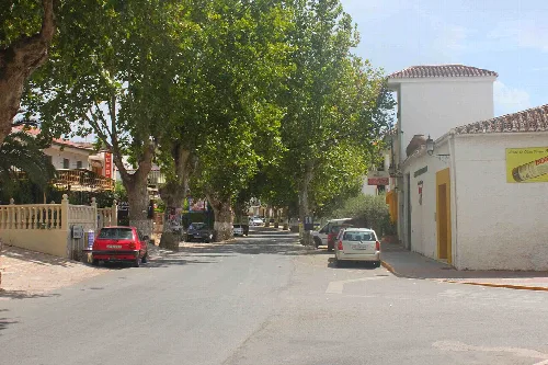 Blick auf die Hauptstraße von Ugíjar mit Bäumen und parkenden Autos.