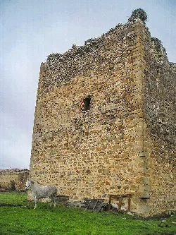 Steinmauer mit kleinem Fenster und Esel im Vordergrund.