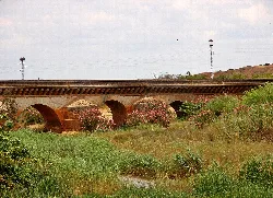 Roman bridge of Niebla over the Tinto River with vegetation and cables in the background.