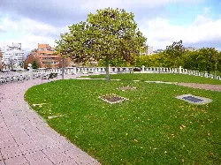 Large tree in a park with grass and tiled walkway in Barañáin.