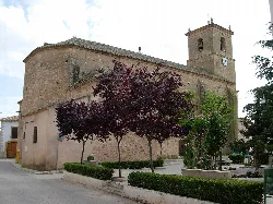Iglesia de piedra en la plaza del Ayuntamiento con árboles y torre con reloj.