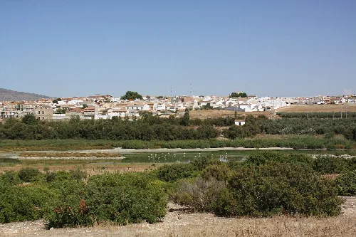Vista general de Fuente de Piedra, en la provincia de Málaga.