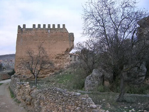 Ruins of a castle in Socovos with stone walls and leafless trees.