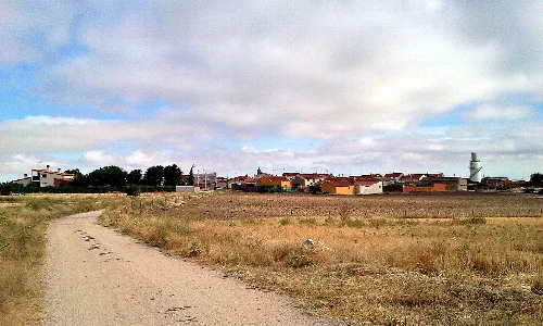Llegada a Monsalupe (ruta Daganzo-Narros)
