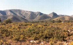 Berge und Vegetation in der Sierra del Caballón in Catadau.