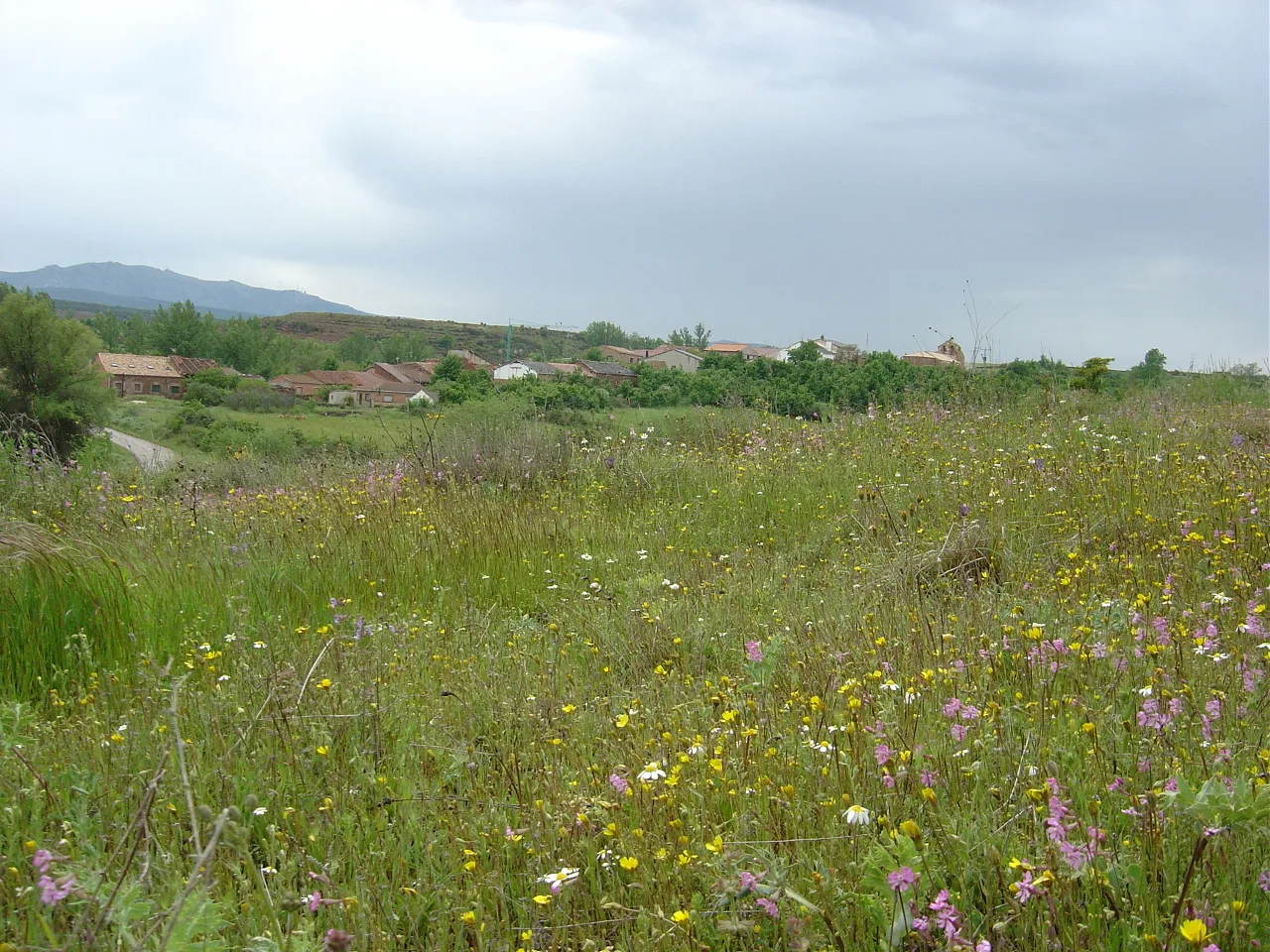 ujados en primavera año 2004