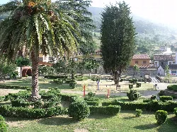 Garten mit Palmen, Bäumen und Sträuchern in Salas, Asturien.