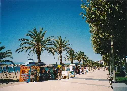 Palm trees and stalls on the Roses promenade.